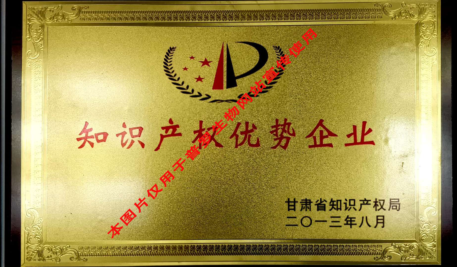 甘肅省知識產權優勢企業