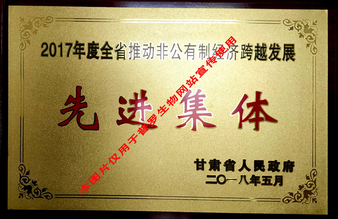 推動非公有制經濟先進集體